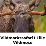 Ferie-oasen I *