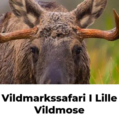 Ferie-oasen I *